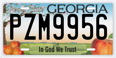 GA license plate PZM9956