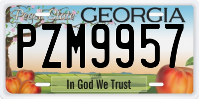 GA license plate PZM9957