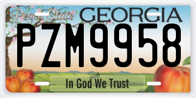 GA license plate PZM9958