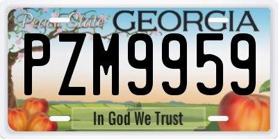 GA license plate PZM9959