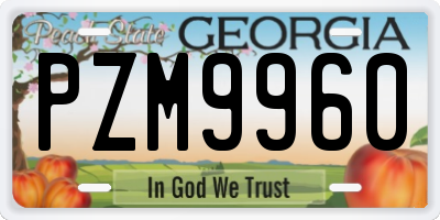 GA license plate PZM9960