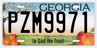 GA license plate PZM9971