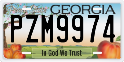 GA license plate PZM9974