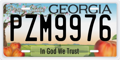 GA license plate PZM9976