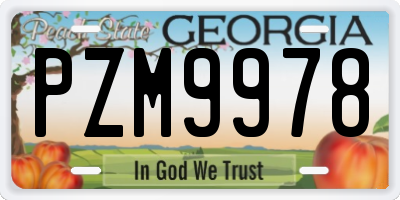 GA license plate PZM9978