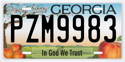 GA license plate PZM9983