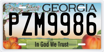 GA license plate PZM9986