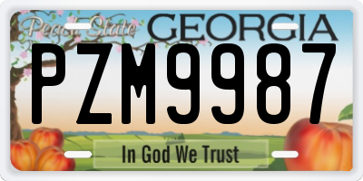 GA license plate PZM9987