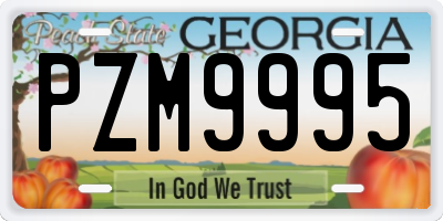 GA license plate PZM9995