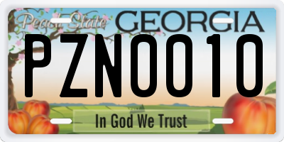 GA license plate PZN0010