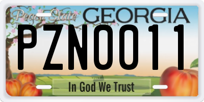 GA license plate PZN0011