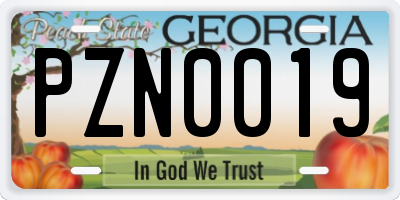 GA license plate PZN0019