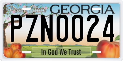 GA license plate PZN0024
