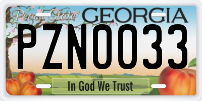 GA license plate PZN0033