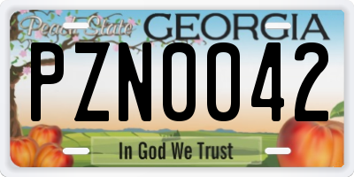 GA license plate PZN0042