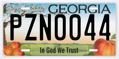 GA license plate PZN0044