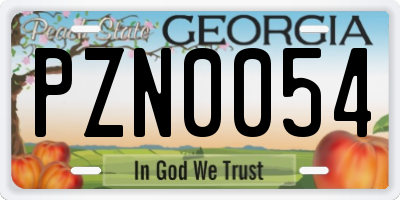 GA license plate PZN0054
