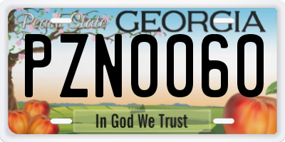 GA license plate PZN0060