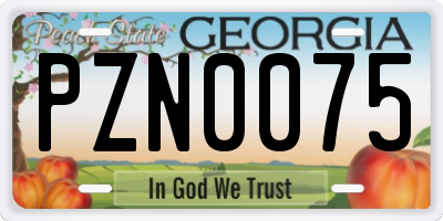 GA license plate PZN0075
