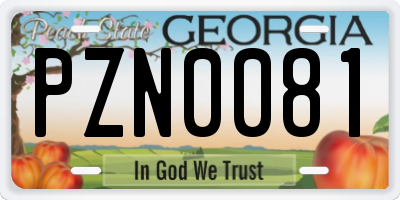GA license plate PZN0081