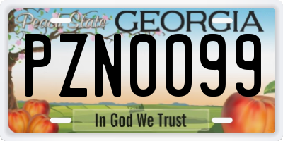 GA license plate PZN0099