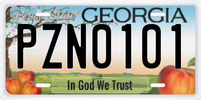 GA license plate PZN0101