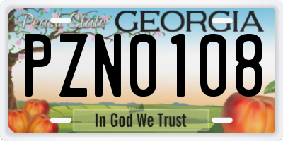 GA license plate PZN0108