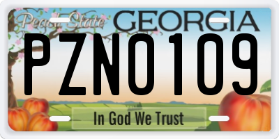 GA license plate PZN0109