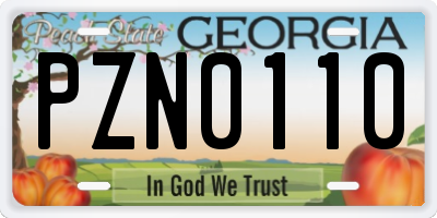 GA license plate PZN0110
