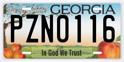 GA license plate PZN0116