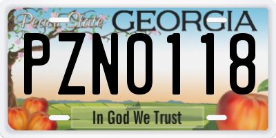 GA license plate PZN0118