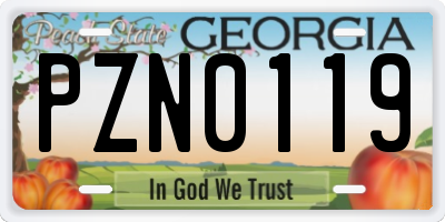 GA license plate PZN0119
