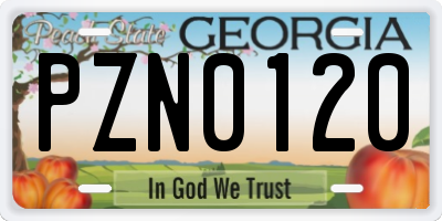 GA license plate PZN0120