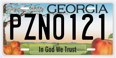 GA license plate PZN0121