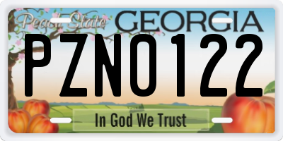 GA license plate PZN0122