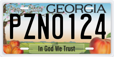 GA license plate PZN0124