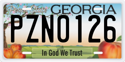 GA license plate PZN0126