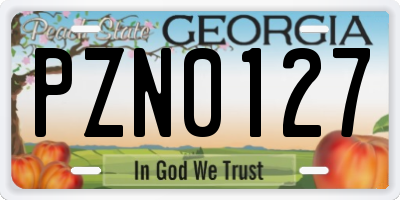 GA license plate PZN0127