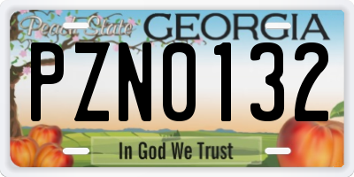 GA license plate PZN0132