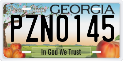 GA license plate PZN0145