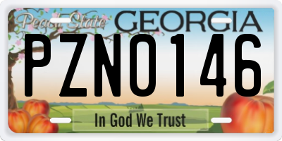 GA license plate PZN0146