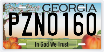 GA license plate PZN0160