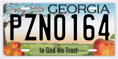 GA license plate PZN0164