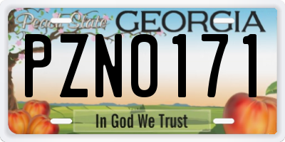 GA license plate PZN0171
