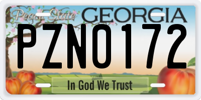 GA license plate PZN0172