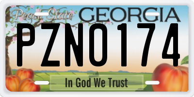 GA license plate PZN0174