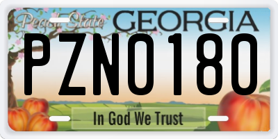 GA license plate PZN0180