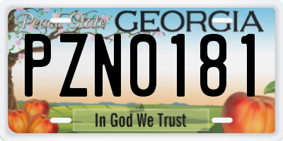 GA license plate PZN0181