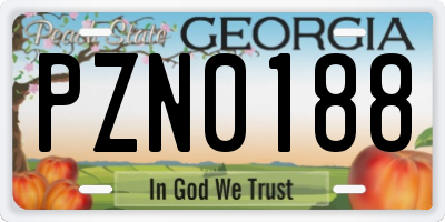GA license plate PZN0188