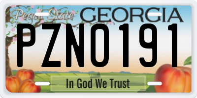 GA license plate PZN0191